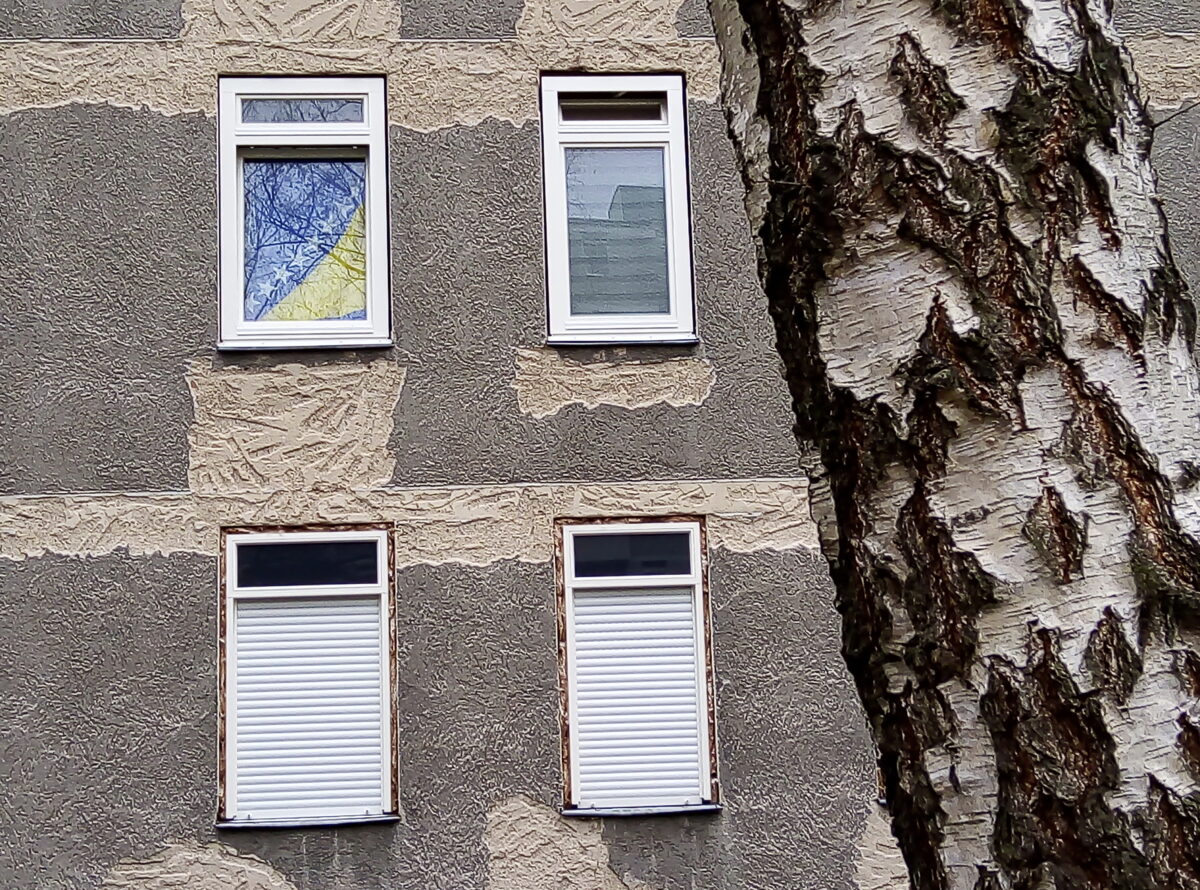 Foto einer Häuserwand eines in der Renovierung stehenden Mehrfamilienhauses. Der Ausschnitt zeigt 4 Fenster. Von der rechten Bildseite schiebt sich der Stamm einer Birke in das Bild.